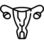 Γυναικολογία Γυναικολογία